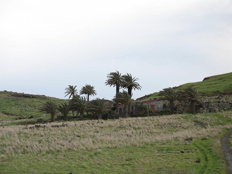 IMG_0437.JPG - Erste Wanderung an der Ostspitze von Madeira. In diesem Häuschen überstehen wir den Sturm. Aber vorbei ist es noch nicht, wie die Palmen zeigen.