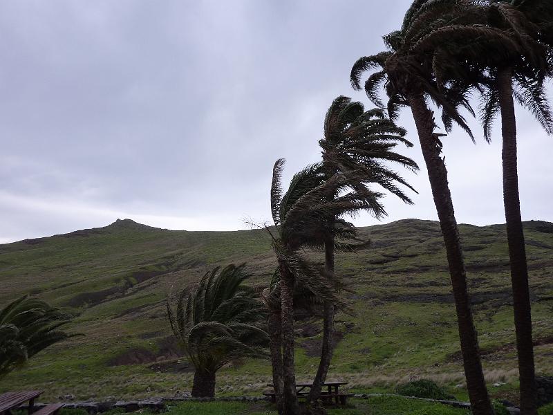 P1020949.JPG - Erste Wanderung an der Ostspitze von Madeira. Den Sturm hört man leider nicht heulen..