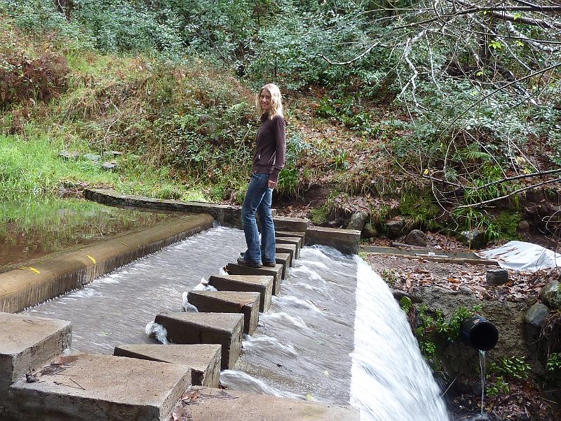 P1020969.JPG - Nach Sturm und anderen Missgeschicken (worüber wir lieber schweigen) gibt es wieder Sonne..