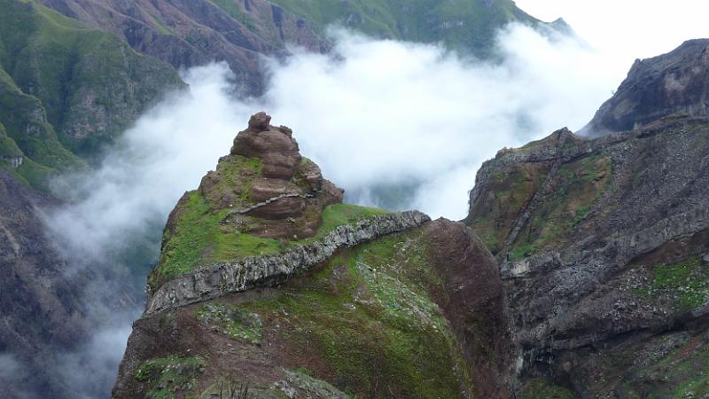 P1030144.JPG - Das eigentliche Wahrzeichen von Madeira;-)