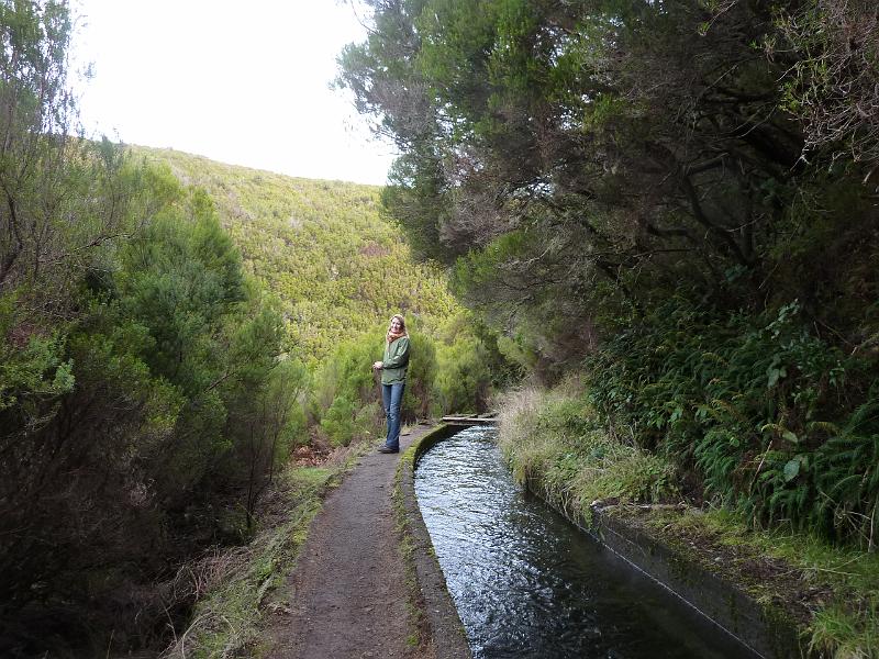 P1030182.JPG - Entspannt geht es weiter entlang der Levada, dank dem Geheimtip unserer Hotelnachbarn.