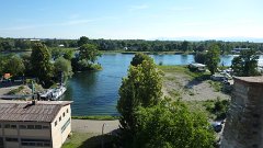 Rhein bei Breisach