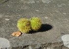 P1120753