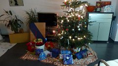 Weihnachtsbaum Norbert in N&uuml;rnberg