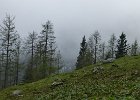 P1030168