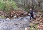 Auf der anderen Seite geht es nicht weiter. Der Blick in den Wanderführer sagt, Vor Flußüberquerung einen Pfad &#34;für Verbissene&#34; finden. Also, mal gelacht und wieder zurück über das Wasser!
