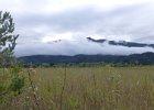 P1100368