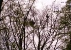 20150425 171218