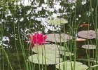 20160709 165048