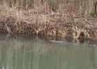 20170218_135640