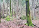 20170218_142229