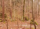 20170218_142329