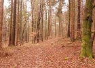 20170218_142549