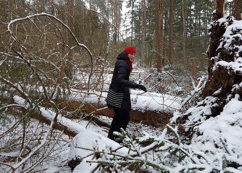 20170115 Stadtwald Fischbach nach Sturm