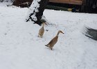20180121 144043